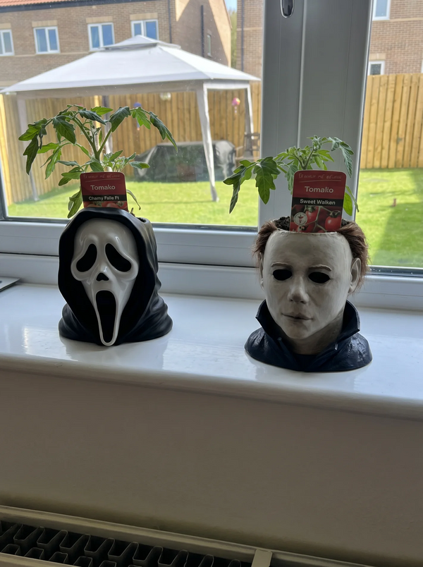 Customer review photo